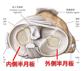 膝関節鏡手術について Ekc